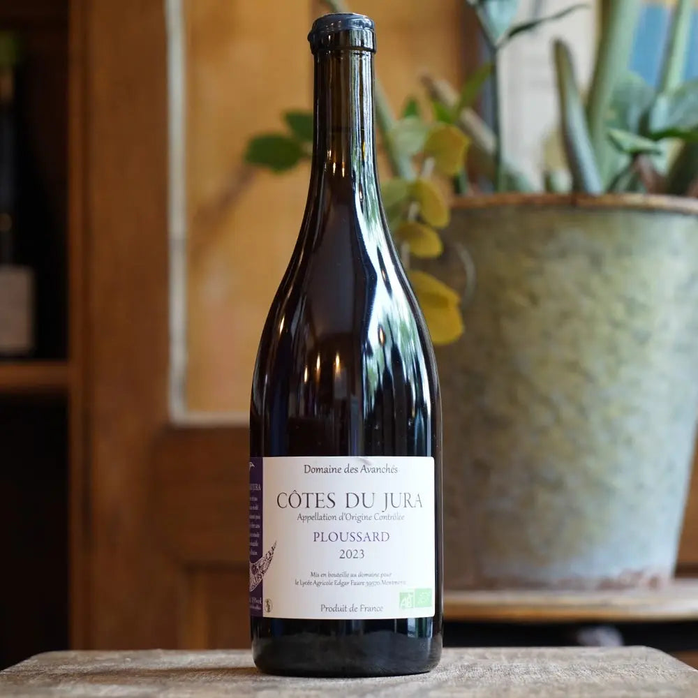 Poulsard 2023 - Domaine des Avanchés