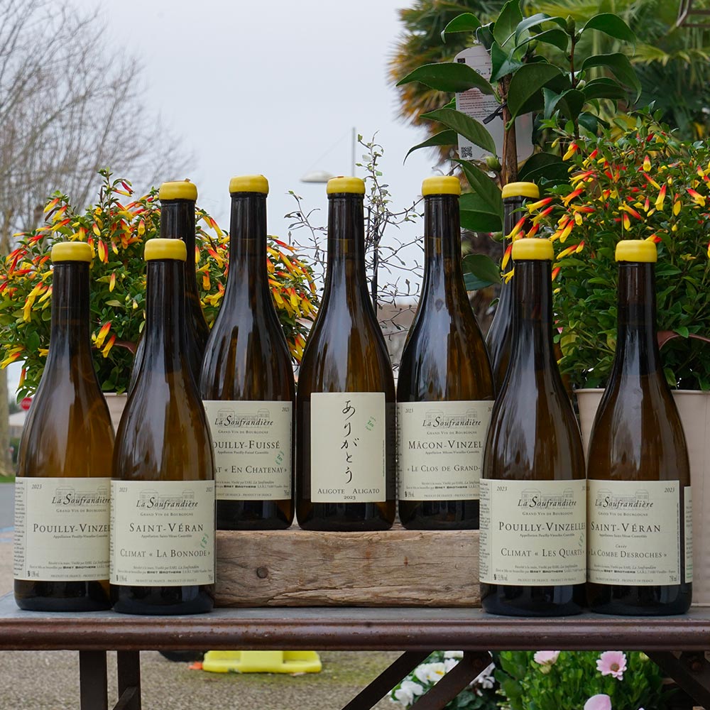 Pouilly-Vinzelles "Les Longeays" 2023 - La Soufrandière