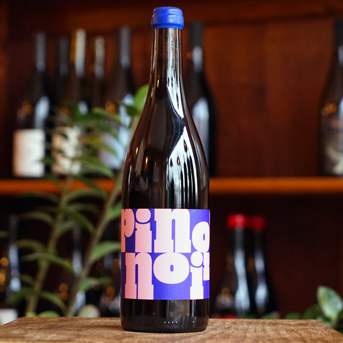 Bourgogne Pinot Noir 2024 - Club Canon - Marée Haute Vins Vivants