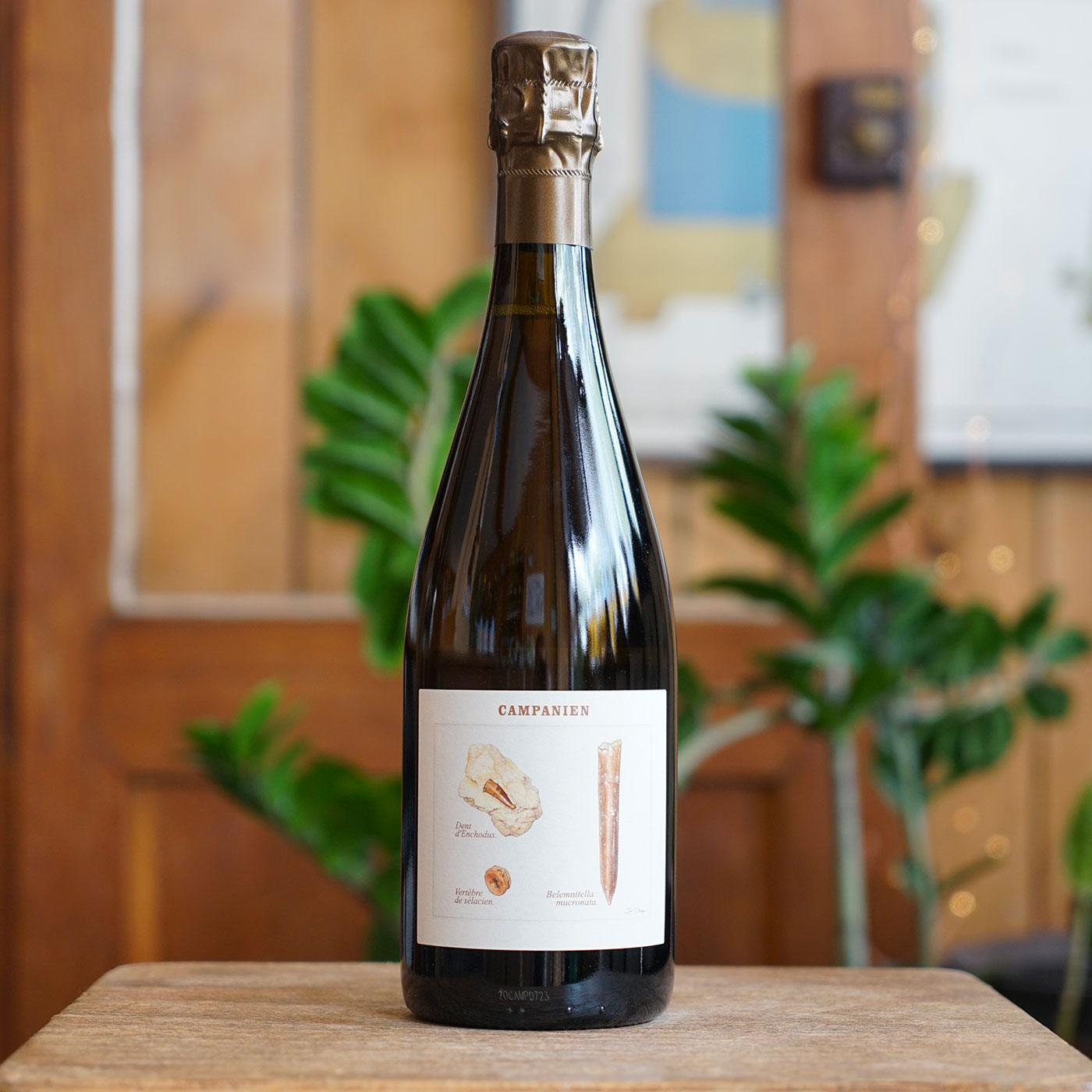 Campanien R19 - Champagne Legrand-Latour