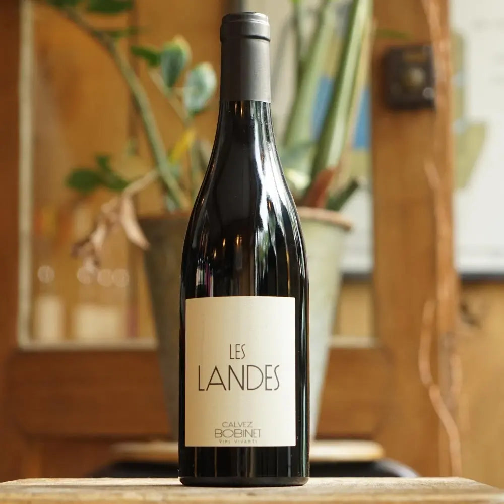 Les Landes 2020 - Domaine Bobinet