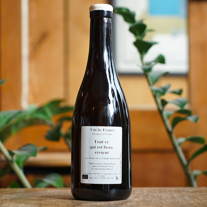 Tout ce qui est beau revient 2020 - Anders Frederik Steen et Anne Bruun Blauert