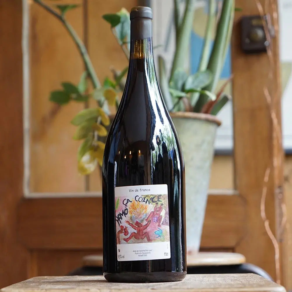 Homo ça coince 2022 Magnum - Patrick Desplats