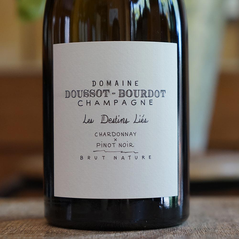 Destins Liés 2021 - Billy Doussot