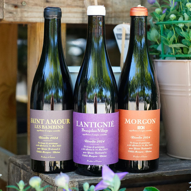 P'tit Bouchon 2025 - Yann Bertrand