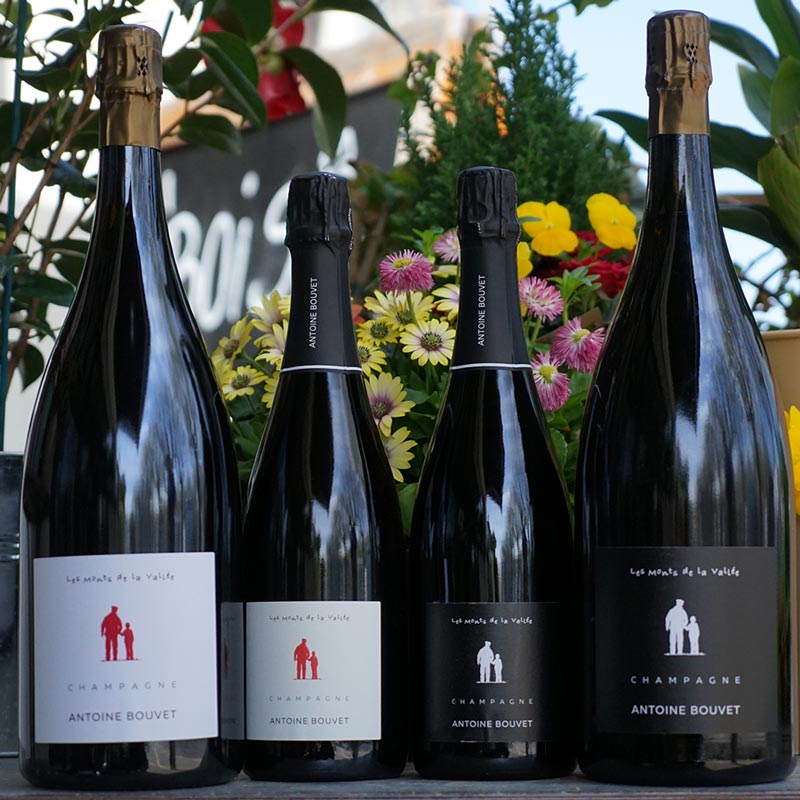 Les Monts de la Vallée Rosé Magnum - Antoine Bouvet