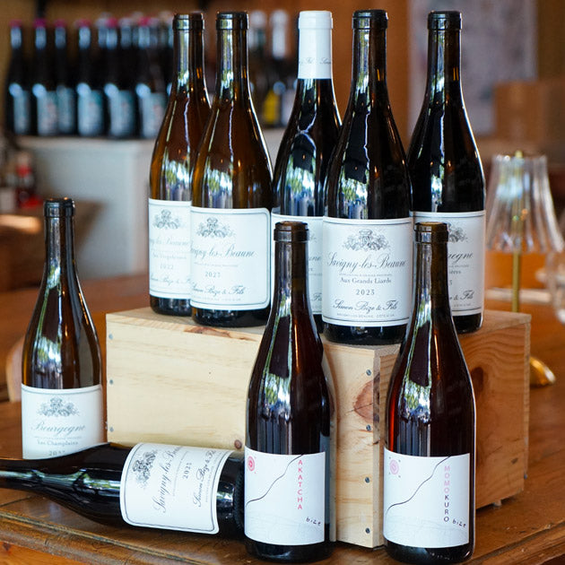 Savigny les Beaune "Aux Grands Liards" 2023 - Simon Bize