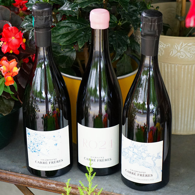 Trépail "Champ Jeanvrai" 2022 - Domaine Carré Frères