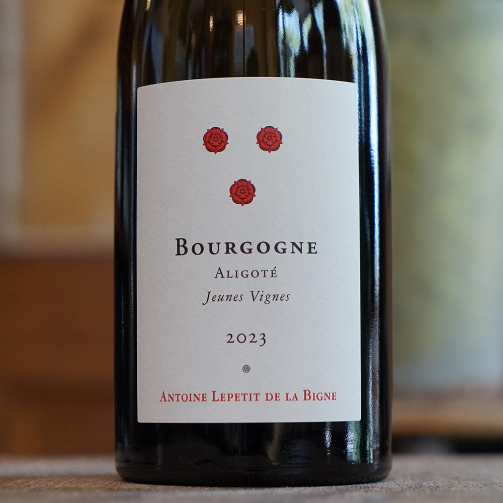 Bourgogne Aligoté "Jeune Vignes" 2023 - Antoine Lepetit de la Bigne
