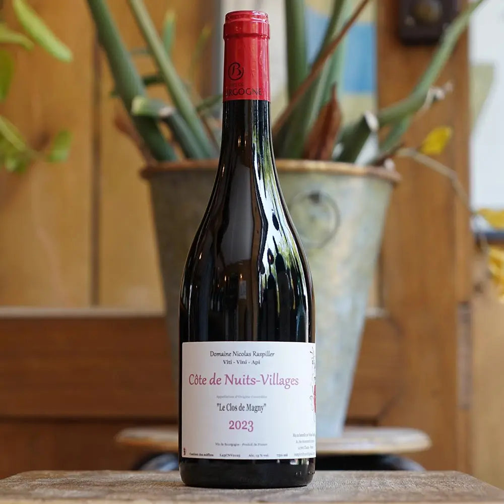 Côte de Nuits-Village "Clos Magny" 2023 - Nicolas Raspiller