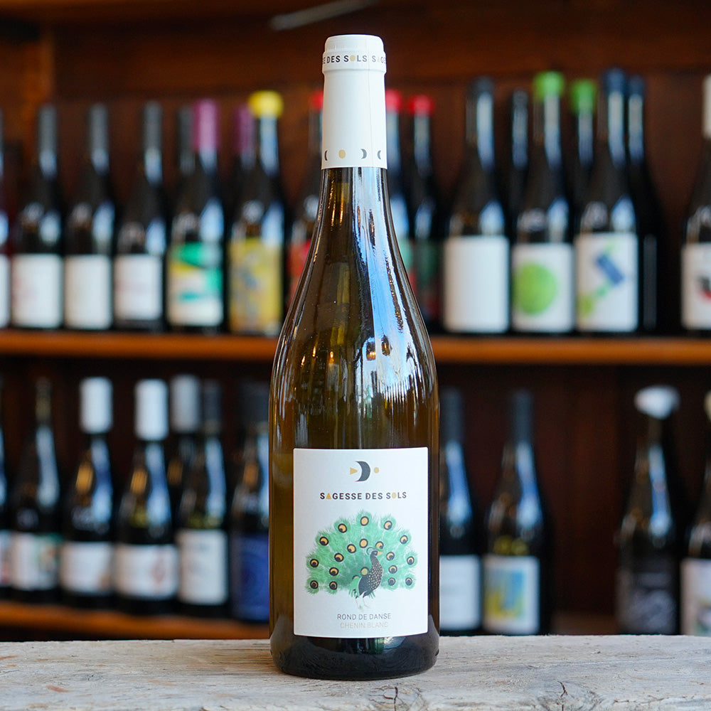 Rond de Danse 2024 - Sagesse des Sols