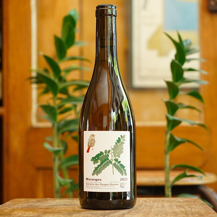 Maranges Blanc 2023 - Domaine des Rouges Queues