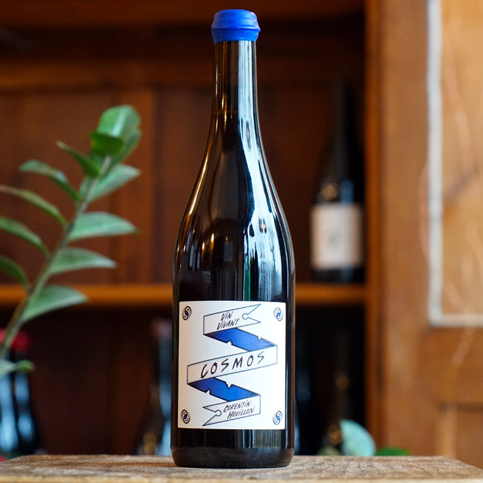 Cosmos 2024 - Corentin Houillon