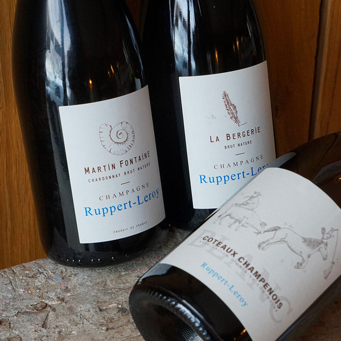 Martin Fontaine R22 - Ruppert-Leroy