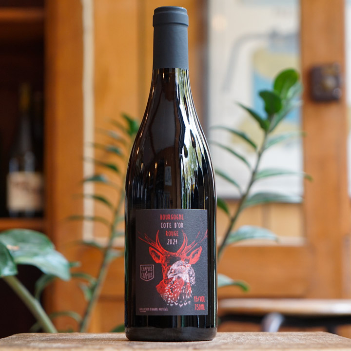 Bourgogne Rouge "Côte d'Or" 2024 - Chapuis & Chapuis
