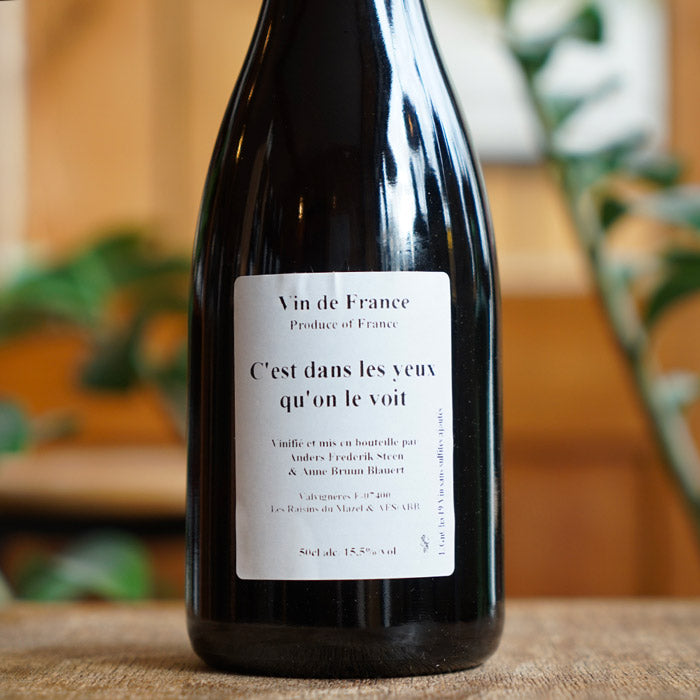 C'est dans les yeux qu'on le voit 2019 - Anders Frederik Steen et Anne Bruun Blauert