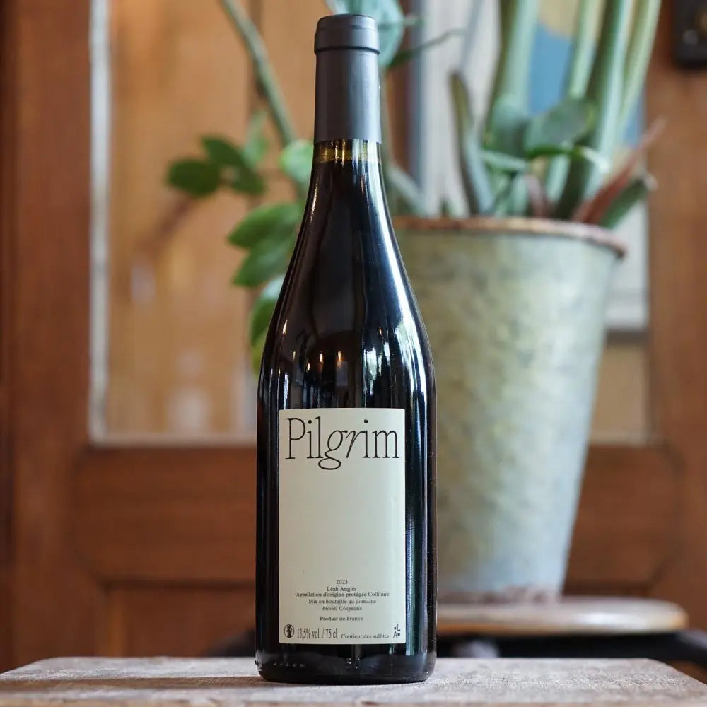 Pilgrim 2022 - Leah Angles