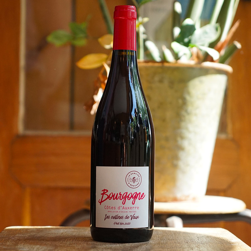 Bourgogne Côtes d'Auxerre Pinot Noir 2022 - Le Domaine d'Edouard