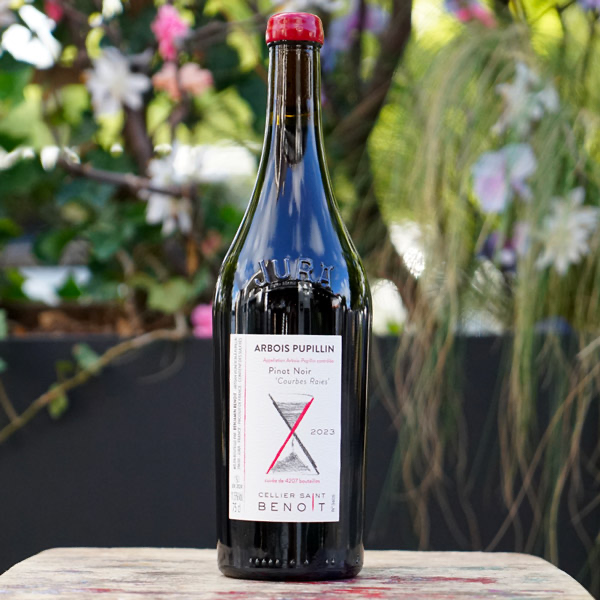 Pinot Noir "Courbes Raies" 2023 - Cellier Saint Benoit
