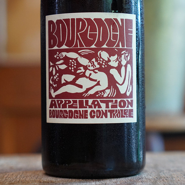 Bourgogne Rouge 2023 - La Soeur Cadette