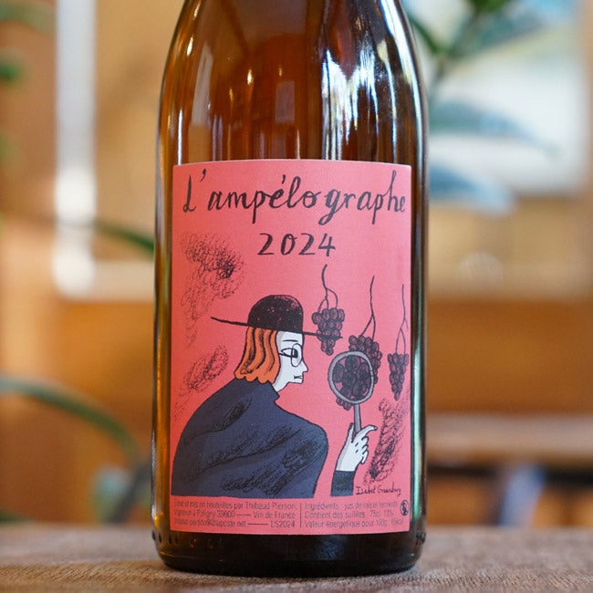 L’Ampélographe 2024 - Thibaud Pierson