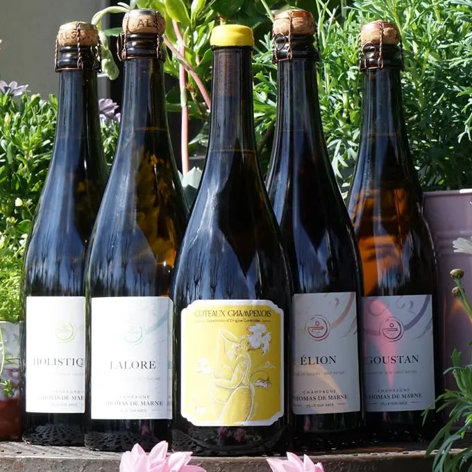 Coteaux Champenois Blanc 2022- Champagne Thomas de Marne