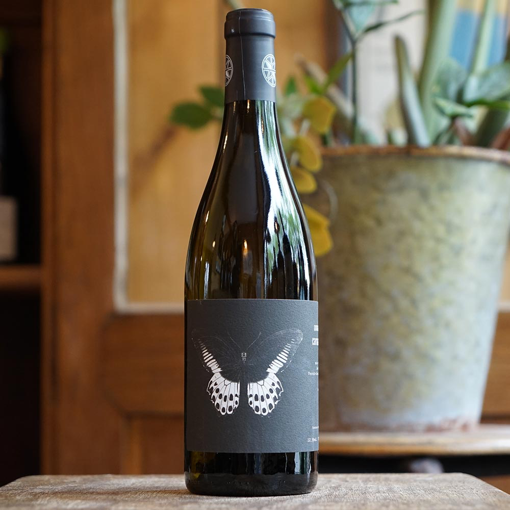 Carignan Blanc 2022 - Domaine Ledogar