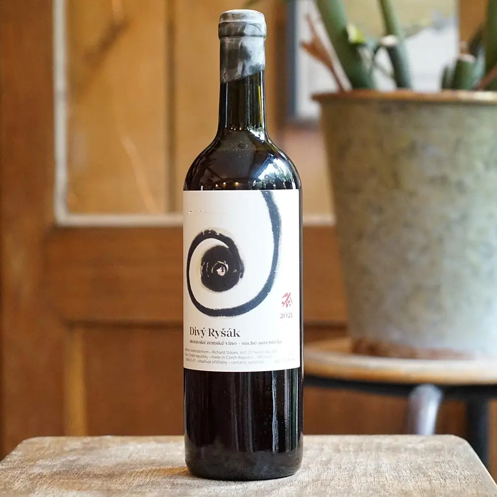 Divý Ryšák 2021 - Richard Stávek