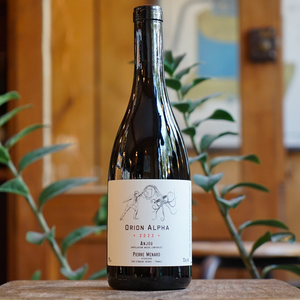 Orion Alpha 2023 - Pierre Ménard