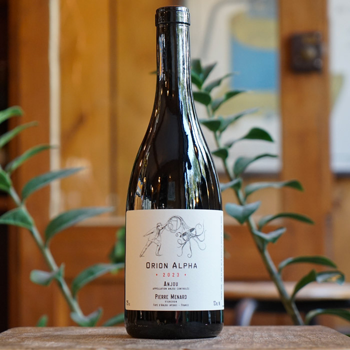 Orion Alpha 2023 - Pierre Ménard