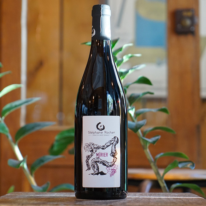 Mûrier 2023 - La Ferme de Mont Benault