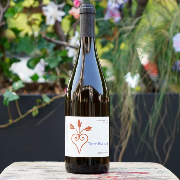 Terre Blanche 2023 - Noëlla Morantin