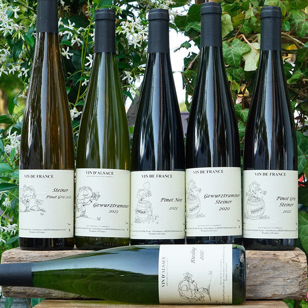 Pinot Gris 2022 Macération - Jean Ginglinger