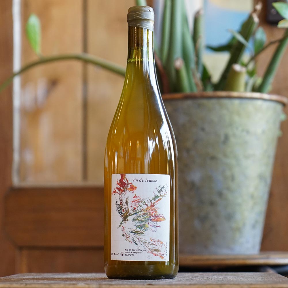 Fleurs 2023 - Patrick Desplats