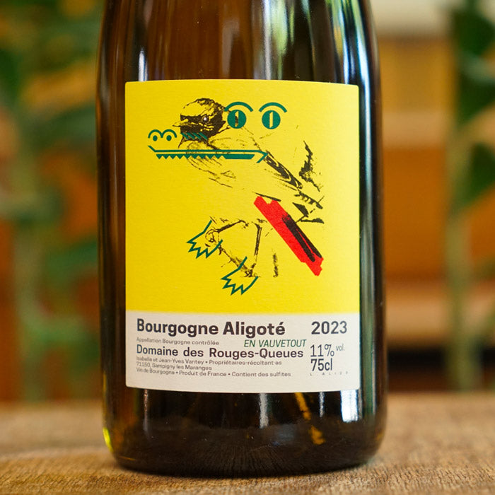 Aligoté 2023 - Domaine des Rouges Queues