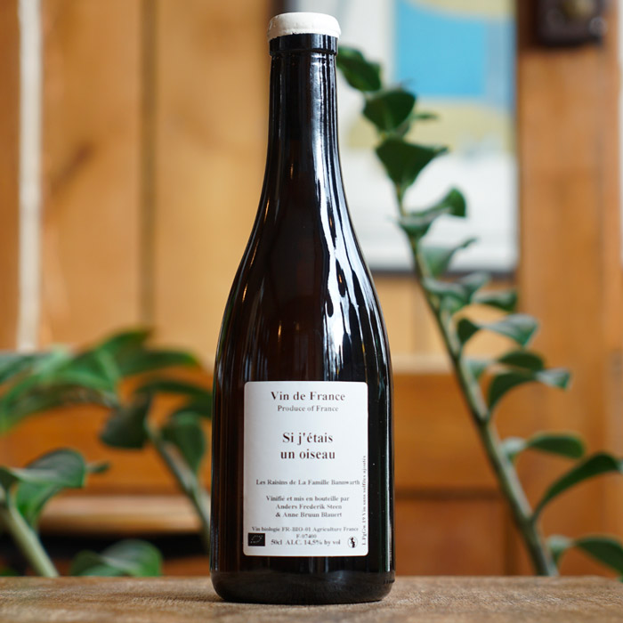 Si j'étais un Oiseau 2019 - Anders Frederik Steen et Anne Bruun Blauert