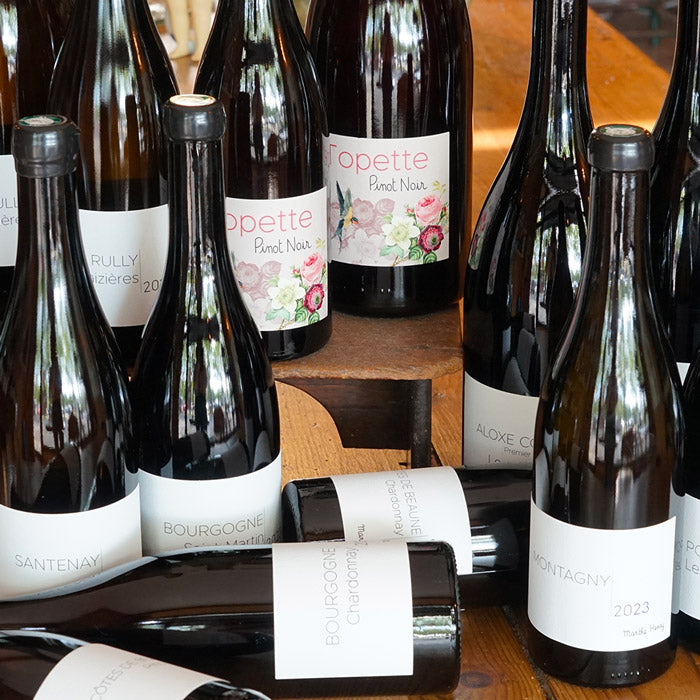 Bourgogne Blanc 2023 - Marthe Henry
