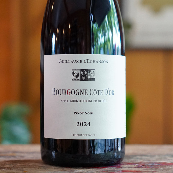 Côte d'Or Rouge 2024 - Guillaume l'Echanson