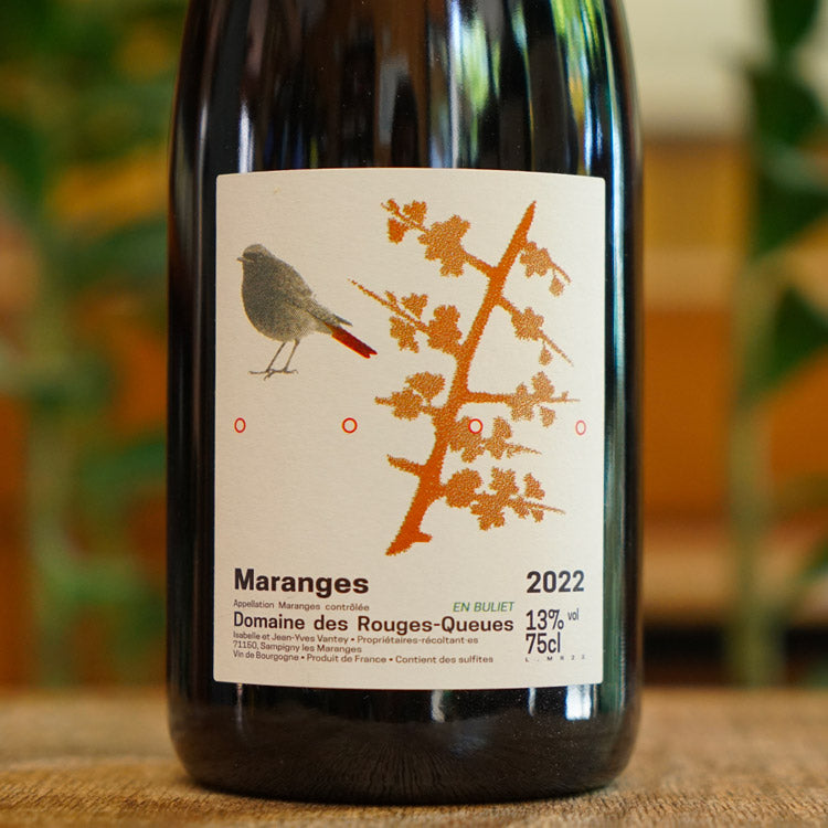 Maranges Rouge en Buliet 2022 - Domaine des Rouges Queues