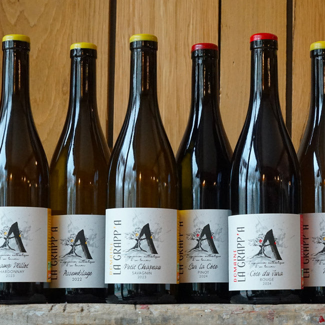 Pinot Noir "Sur la Côte" 2024 - Domaine La Grapp'A