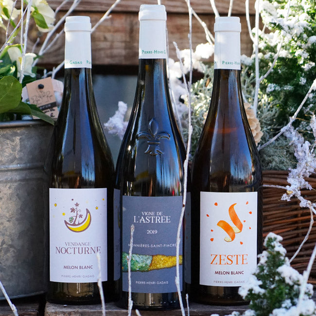 Vendange Nocturne 2023 - Domaine Gadais