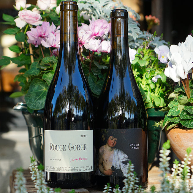 Clos du Rouge Gorge "Jeunes Vignes" 2024 - Cyril Fhal