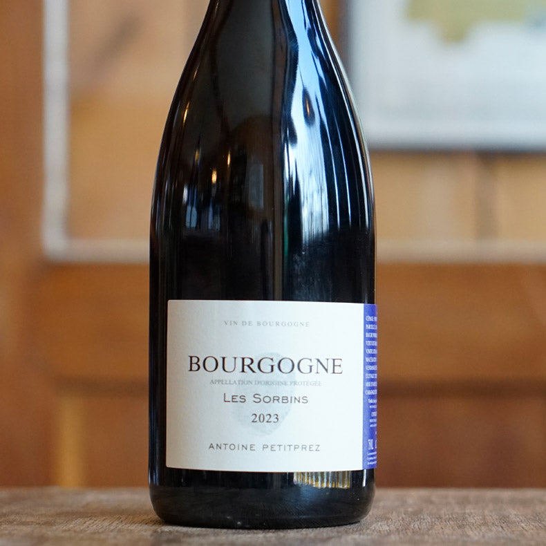 Bourgogne Rouge "Les Sorbins" 2023 - Antoine Petitprez
