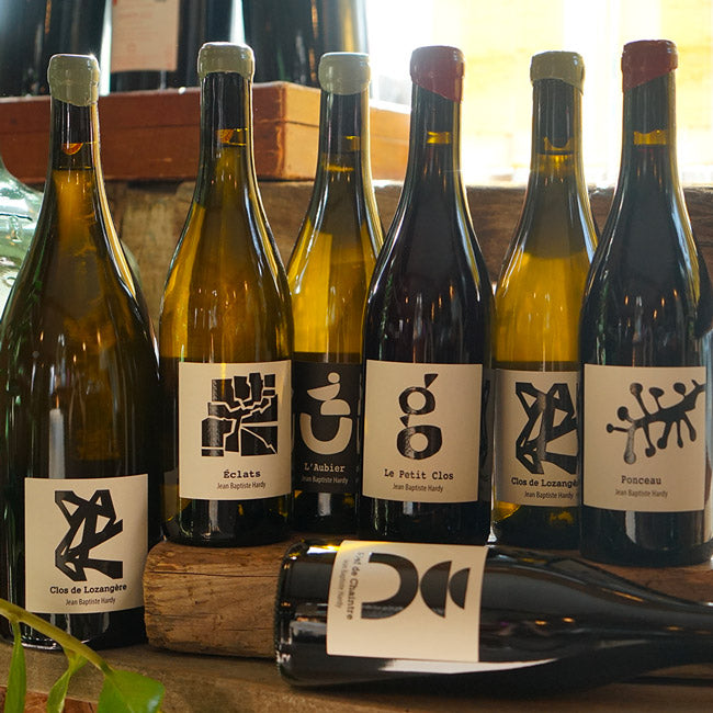 Clos de Lozangère 2023 - Jean-Baptiste Hardy