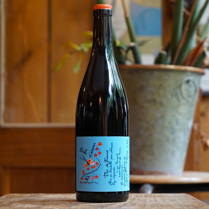 Drôle d’Oiseau 2023 - Norann Ly