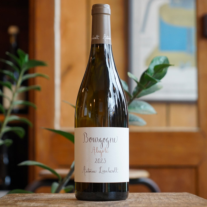 Bourgogne Aligoté 2023 - Antoine Lienhardt - Marée Haute Vins Vivants