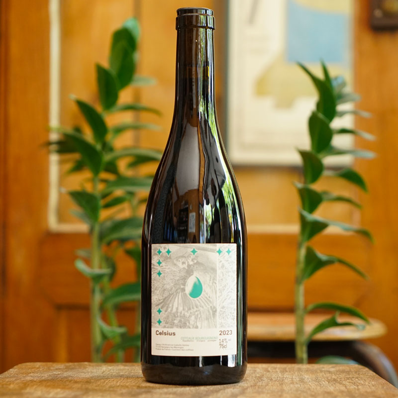 Coteaux Bourguignons Rouge 2023 - Domaine des Rouges Queues