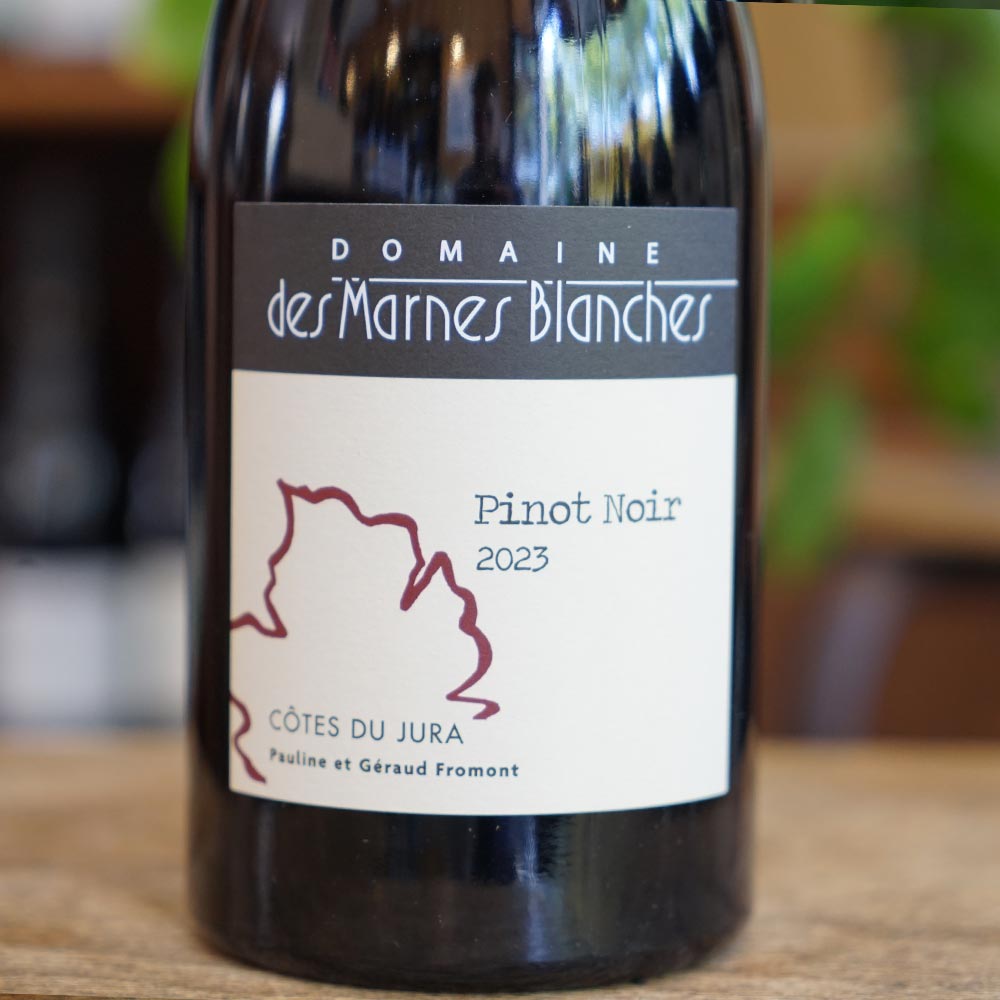 Pinot Noir 2023 - Domaine des Marnes Blanches
