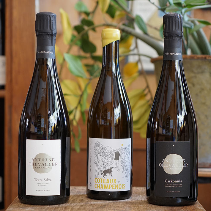 Carkonnia 2020 - Antoine Chevalier