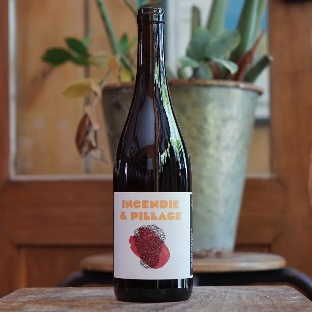 Incendie et Pagaille 2024 - No Control